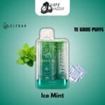 ELFBAR TE Ice Mint 6000 PUFFS