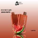 FUUMY VAPE Lush Ice 12000 Puffs
