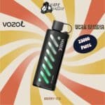 vozol gear shisha Berry Ice flavor with 25000 puffs