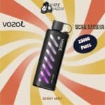 vozol gear shisha Berry Mint flavor with 25000 puffs