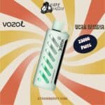 vozol gear shisha Strawberry Kiwi flavor with 25000 puffs