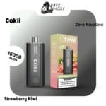 Cokii Strawberry Kiwi 16000 Puffs