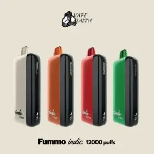 FUMMO Indic 12000 Puffs New Arrival
