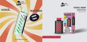 Vozol vape online in Dubai