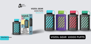 Vozol vape flavors