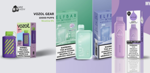 top Vozol vapes in Dubai