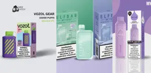 top Vozol vapes in Dubai